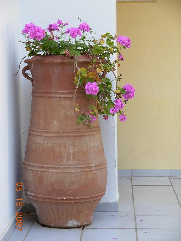 Marilena Otel Ypsos Dış mekan fotoğraf